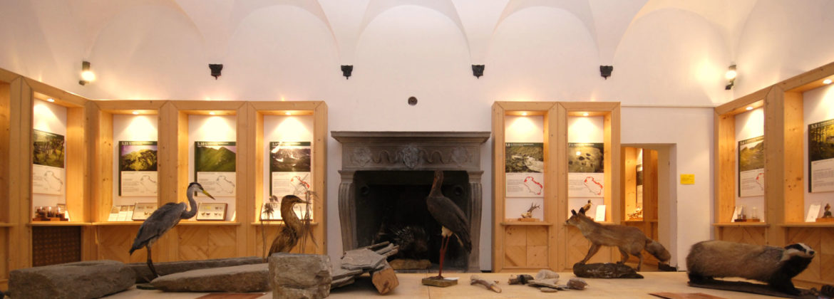 Museo di Storia Naturale della Lunigiana