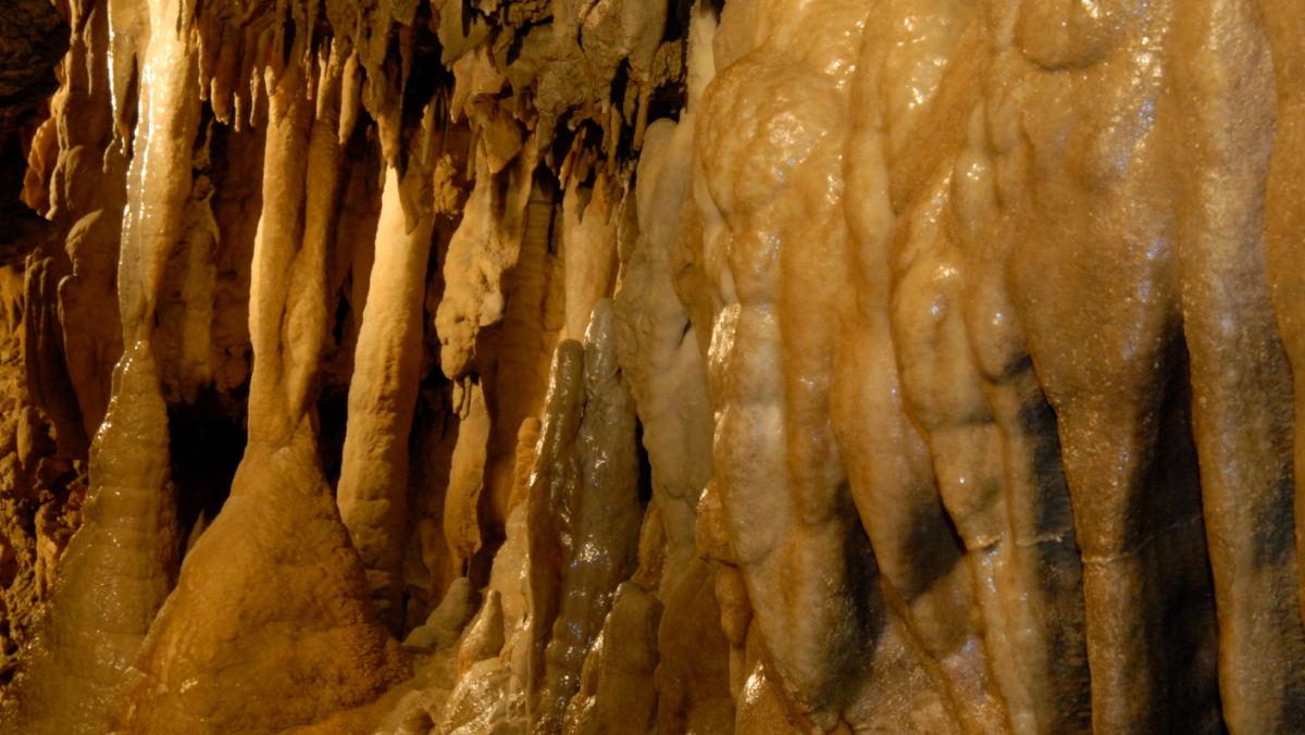 Museo delle Grotte di Equi, formazioni della grotta